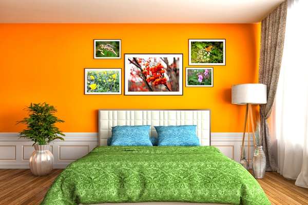 Orange: Bright and Fun